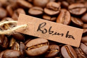 coffee-robusta