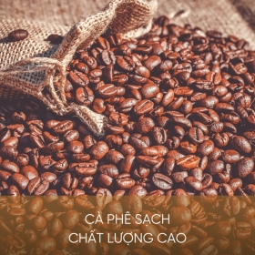 Hỗ trợ tăng trưởng doanh thu với nguồn cà phê sạch 